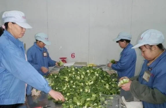 电子标签